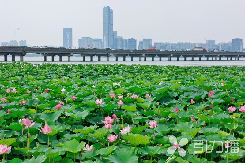 全球十大世界杯投注靠谱平台排行